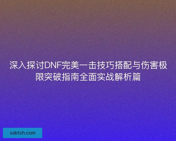 深入探讨DNF完美一击技巧搭配与伤害极限突破指南全面实战解析篇