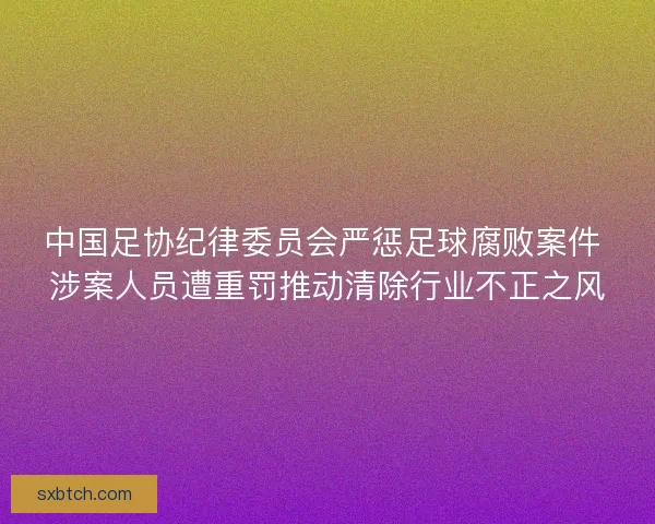 中国足协纪律委员会严惩足球腐败案件 涉案人员遭重罚推动清除行业不正之风